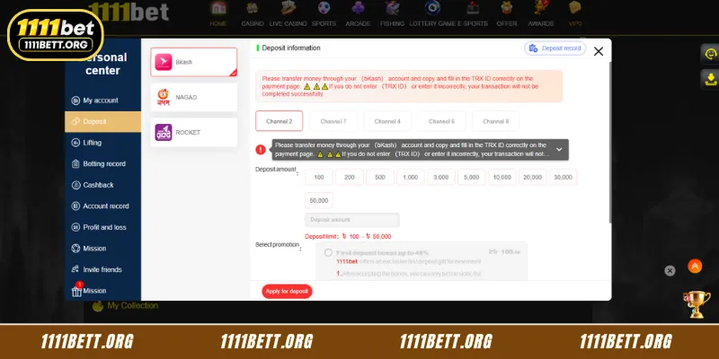 1111Bet Payment and Deposit Options
