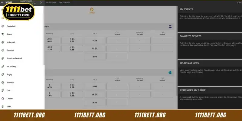 Strengths of 9Wickets Sports at 1111Bet