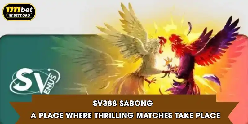 SV388 Sabong - A place where thrilling matches take place
